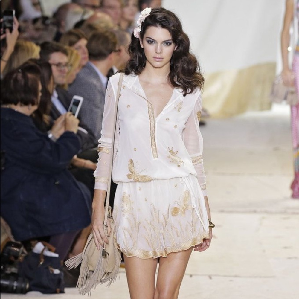 ❤️DVF Delphina embroidered tulle Shirtdress